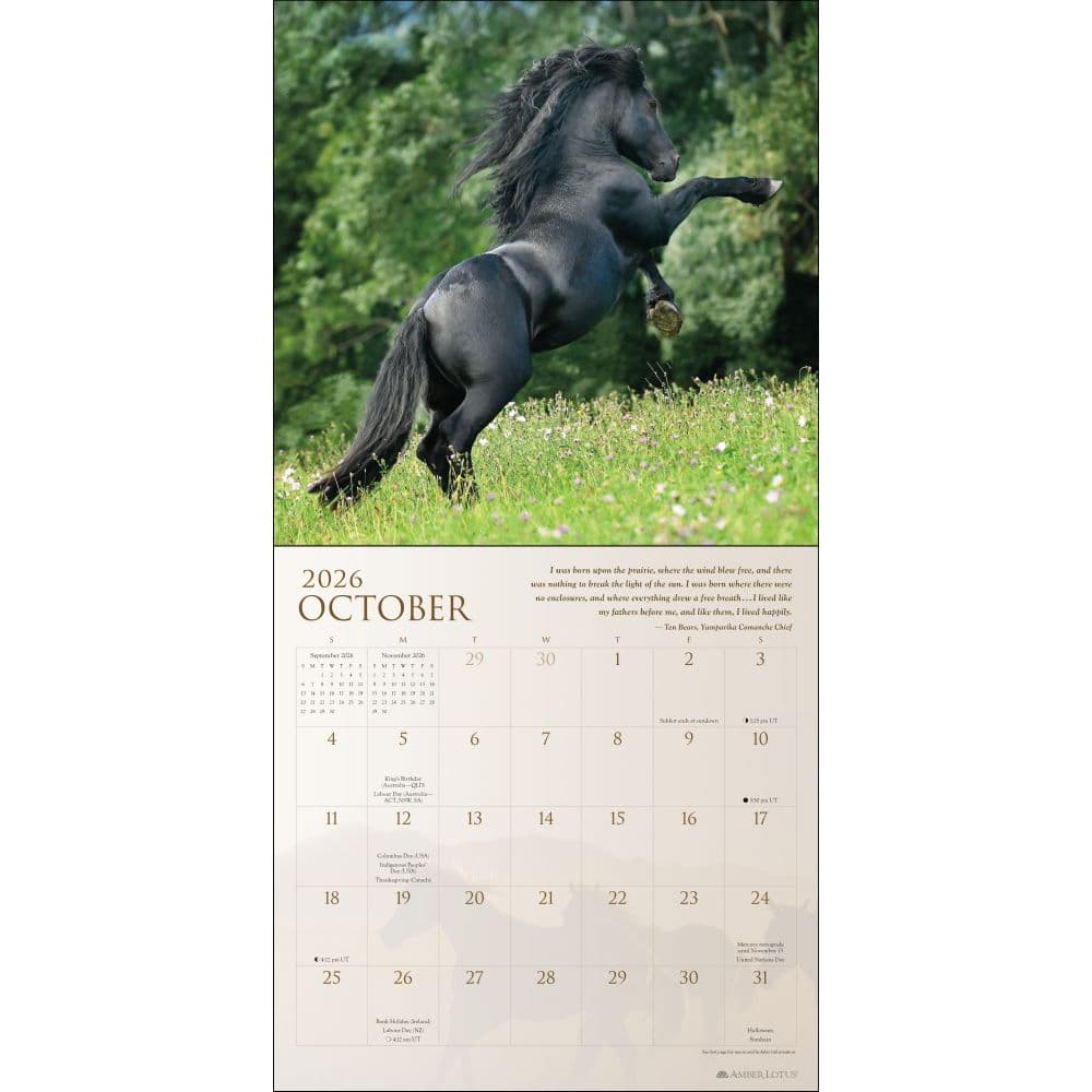 Horses Spirit 2026 Wall Calendar Third Alternate Image
