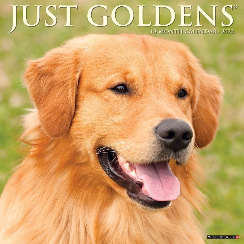 Goldens 2022 Wall Calendar