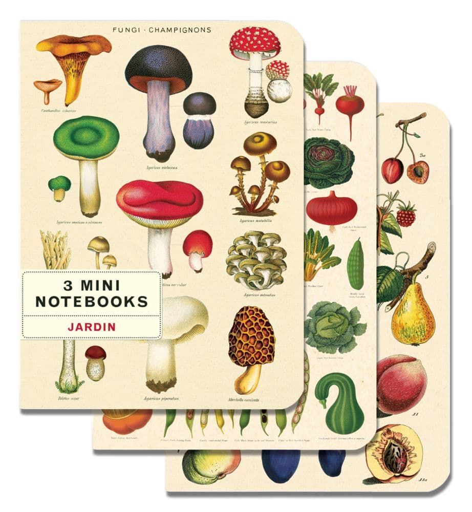 Cavallini Papers & Co. Mushrooms Mini Notebooks (3 pack)