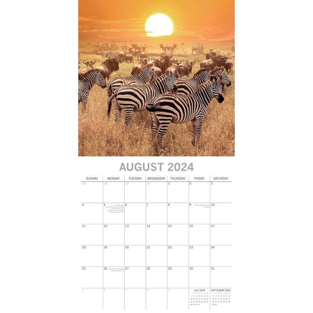 Safari 2024 Wall Calendar Calendars Com   9faa3ab2 366a 4b38 Ab1f 547e86a6e443