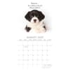 image Adorable Dogs 2025 Wall Calendar Third Alternate Image width=&quot;1000&quot; height=&quot;1000&quot;
