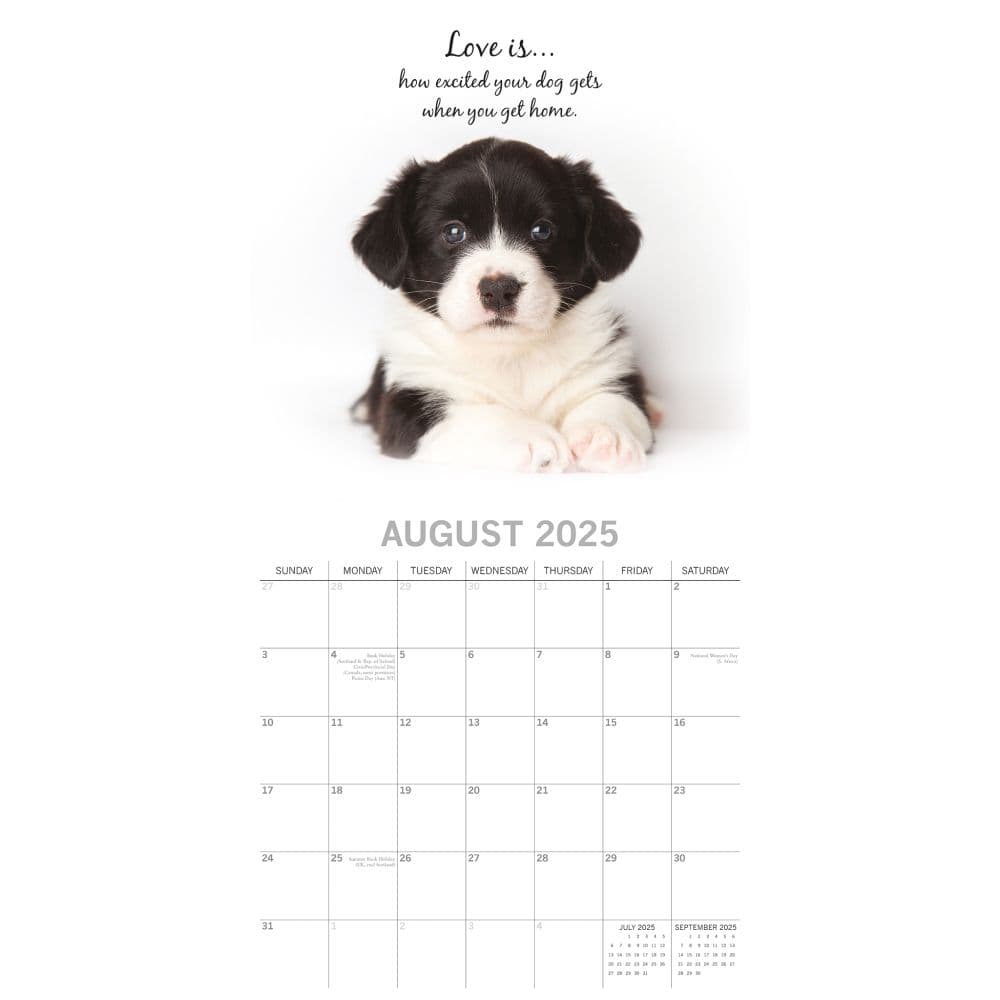 Adorable Dogs 2025 Wall Calendar