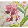 image Exotic Orchids 2024 Wall Calendar Main Product Image width=&quot;1000&quot; height=&quot;1000&quot;