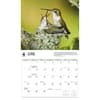 image Birds Backyard WWF 2026 Wall Calendar Third Alternate Image