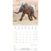 image Elephant Families 2025 Wall Calendar Second Alternate Image width="1000" height="1000"