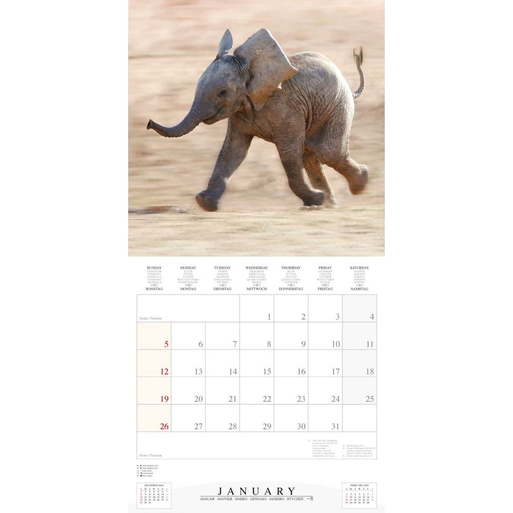 Elephant Families 2025 Wall Calendar Second Alternate Image width="1000" height="1000"