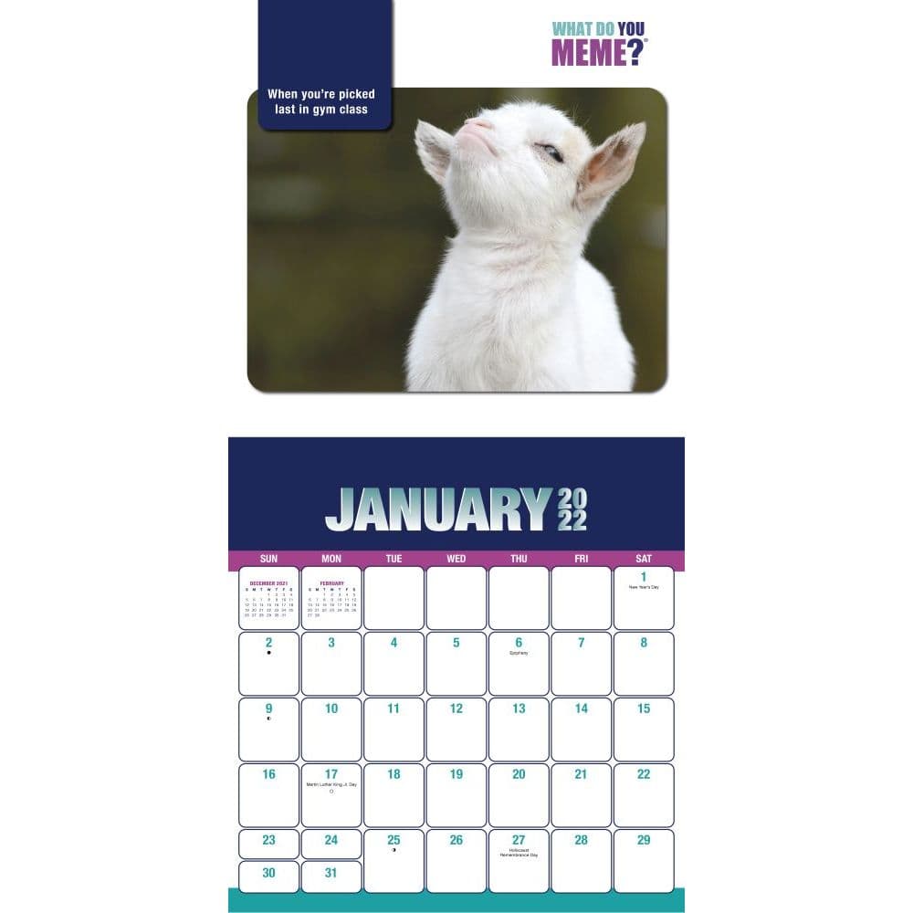 What Do You Meme 2022 Wall Calendar - Calendars.com