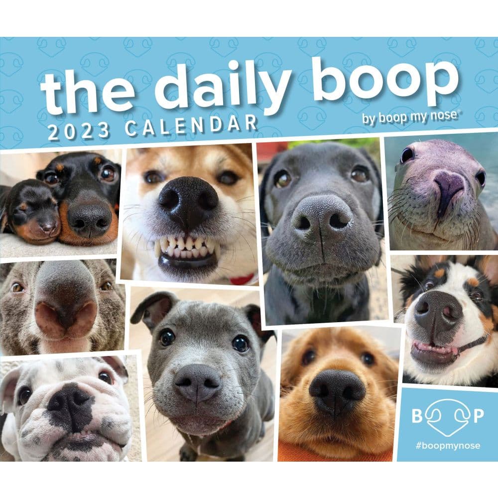 daily-boop-2023-desk-calendar-calendars-com