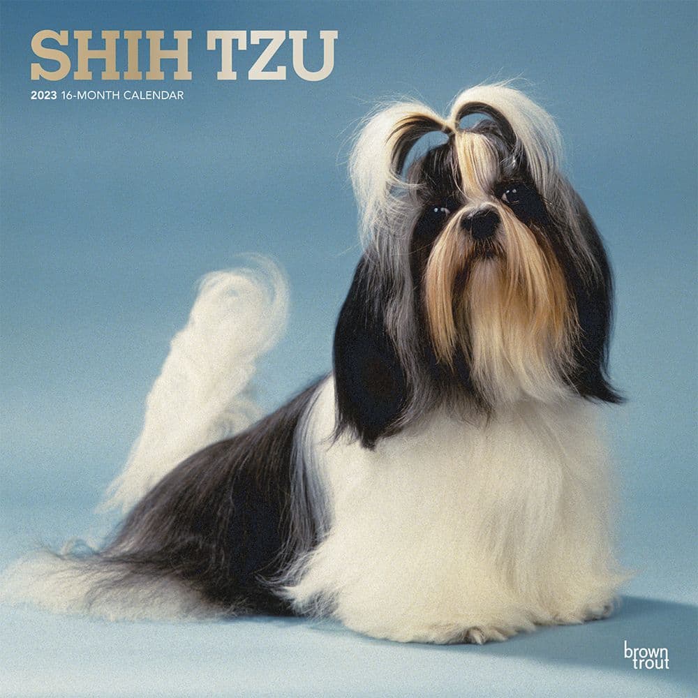 Shih Tzu 2023 Square Wall Calendar - Calendars.com shih-tzu-2023-square-wall-calendar-calendars-com