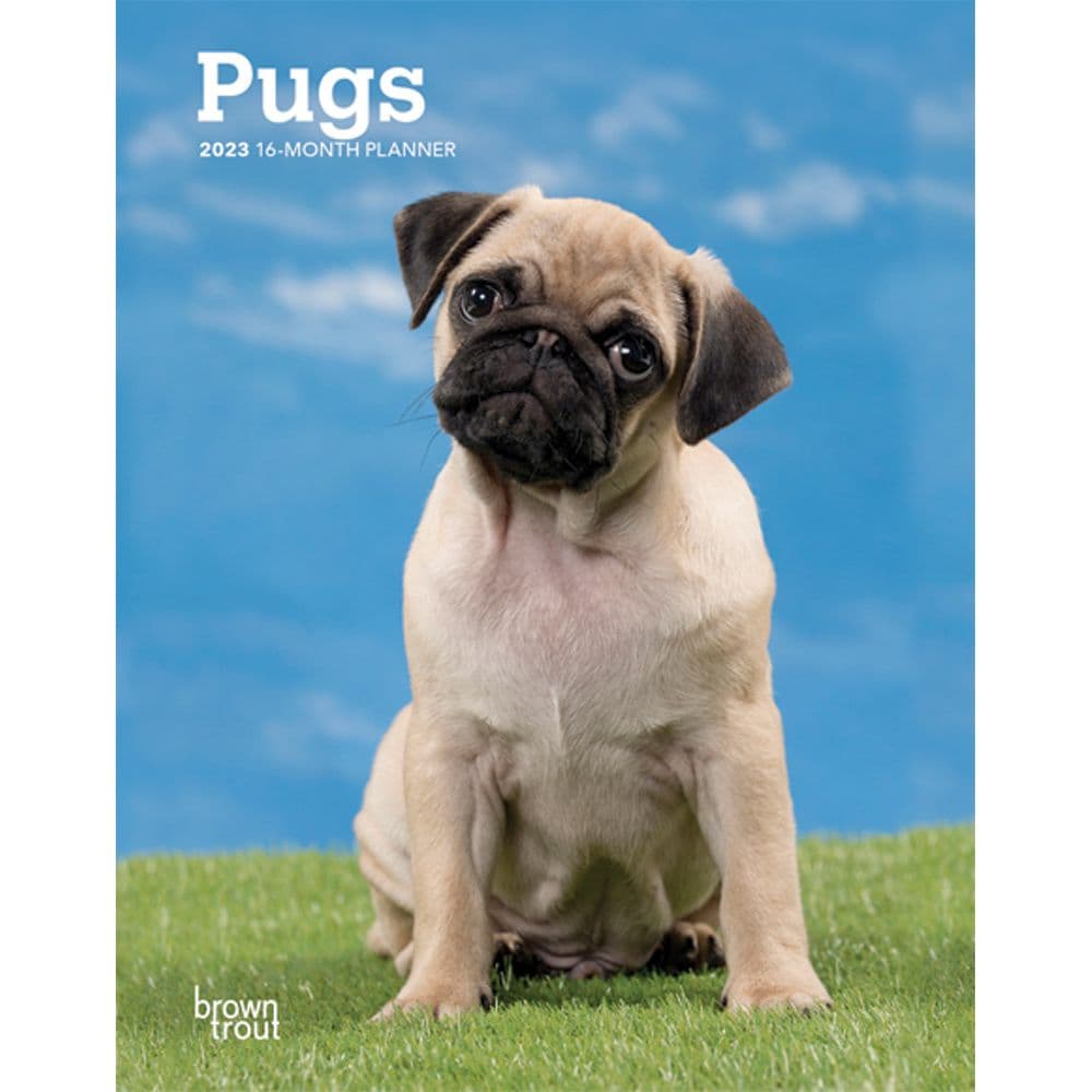 are pugs the oldest breed of dog