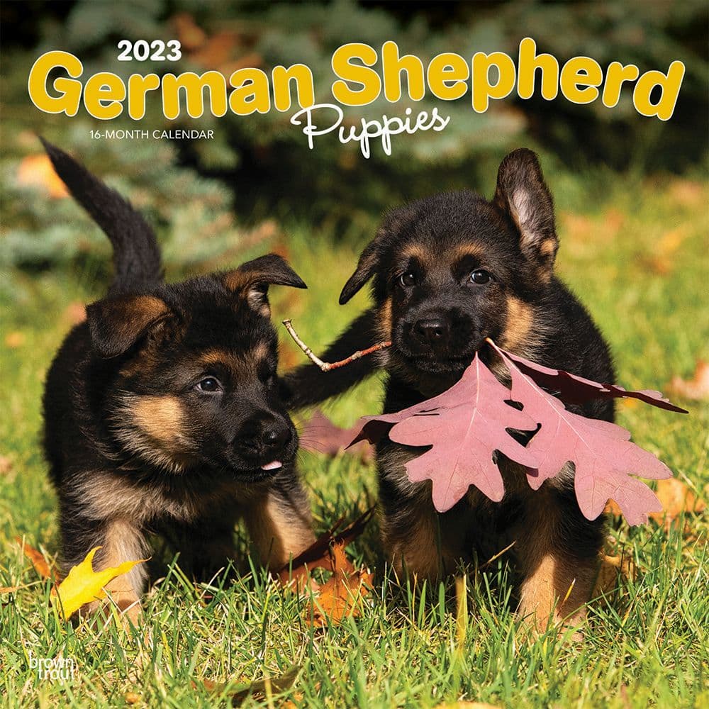 german-shepherd-pupps-2023-wall-calendar-calendars-com