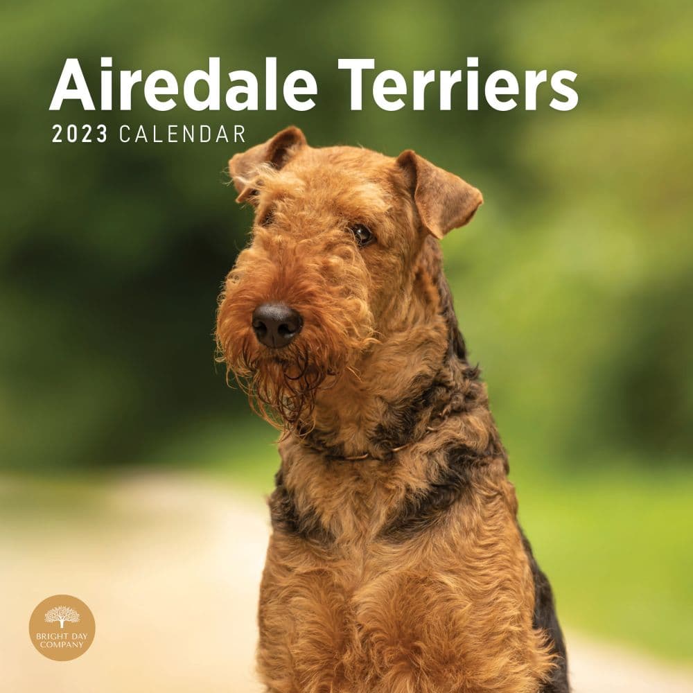 free airedale coloring pages