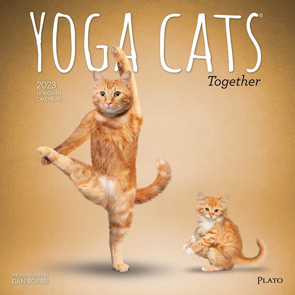 Yoga Cats Together Plato 2023 Wall Calendar - Calendars.com