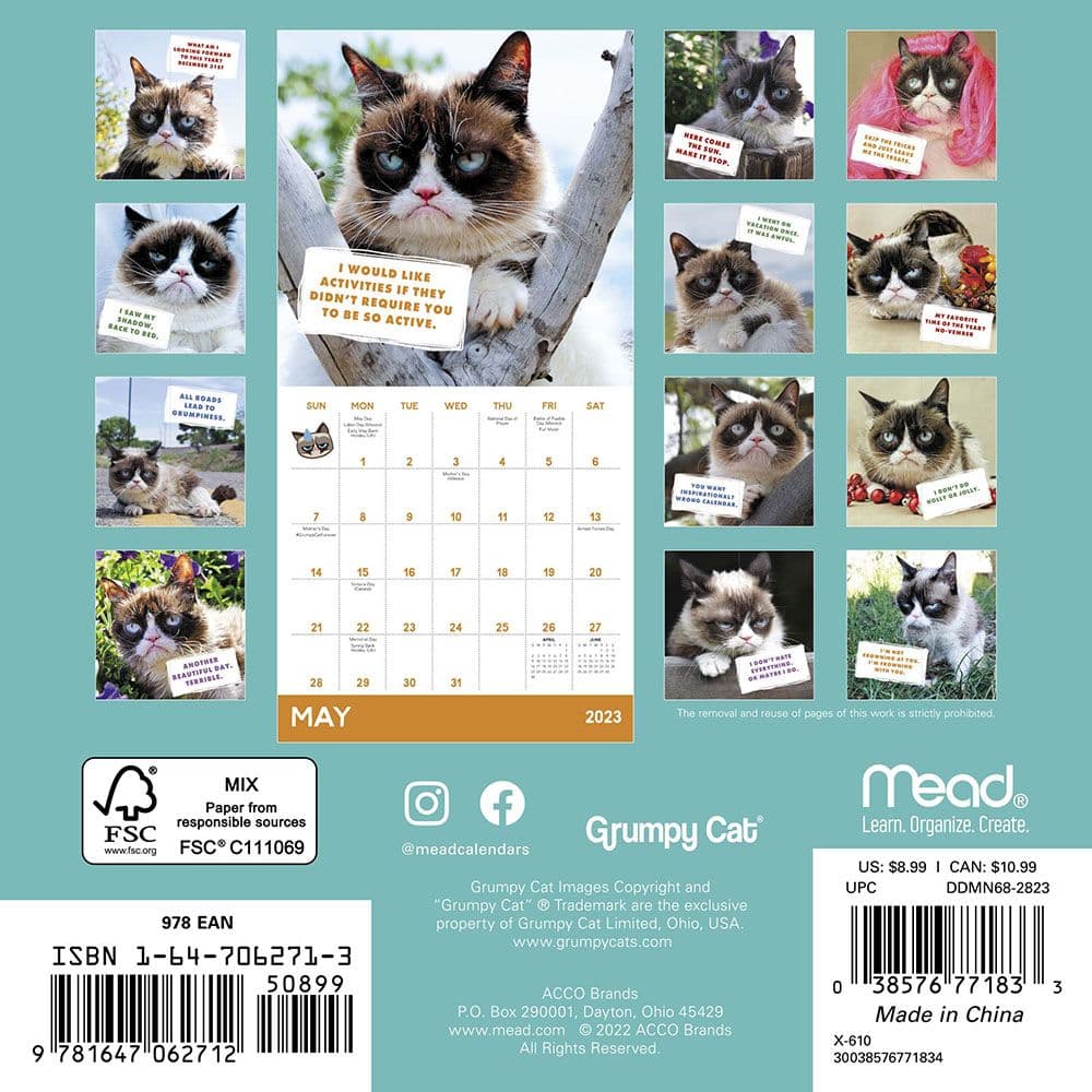 grumpy-cat-2023-mini-calendar-calendars-com