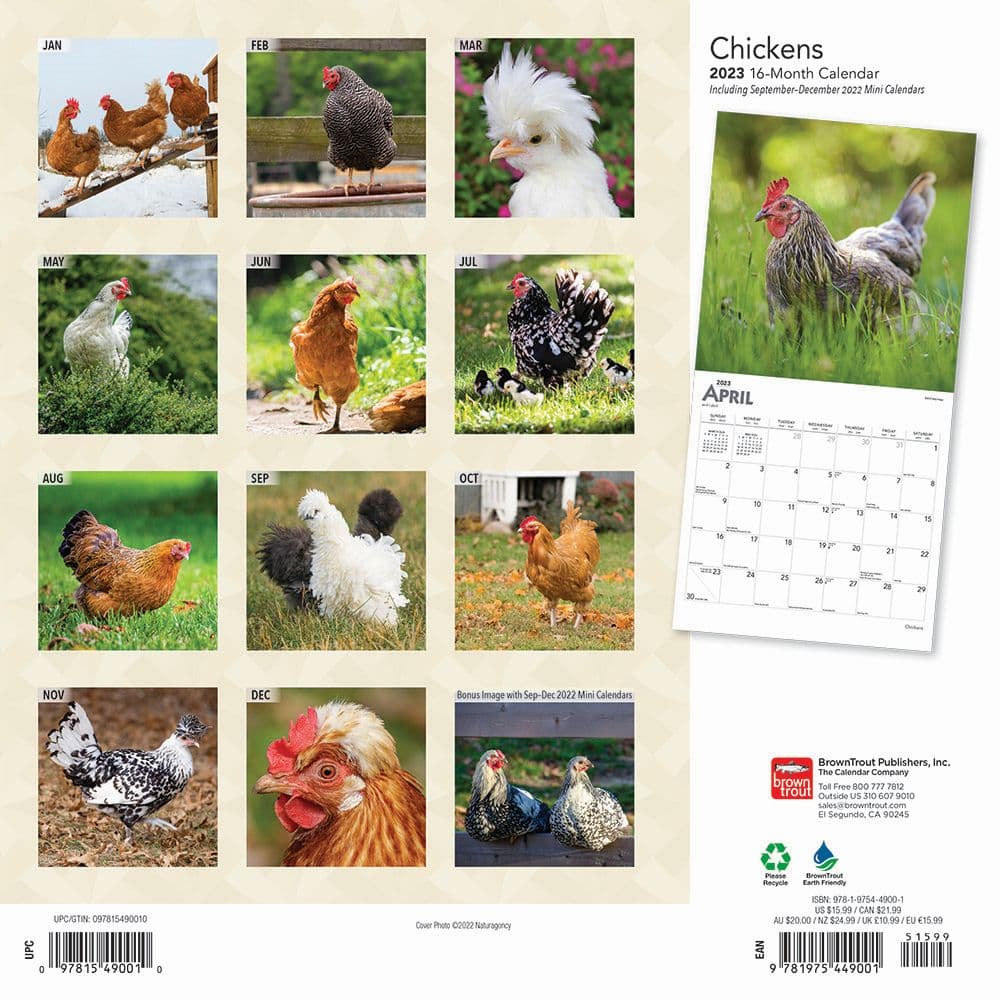 Chickens 2023 Square Wall Calendar - Calendars.com
