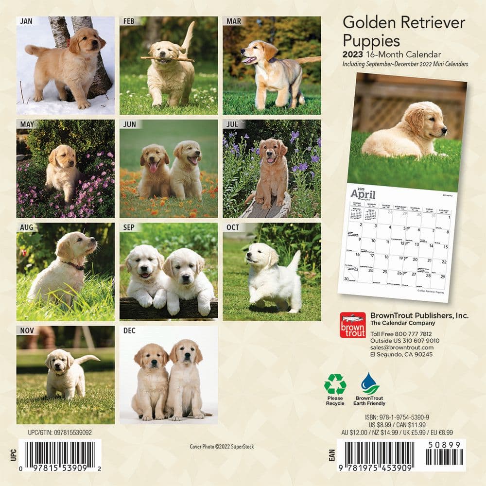 Golden Retriever Puppies Mini Calendar - Calendars.com