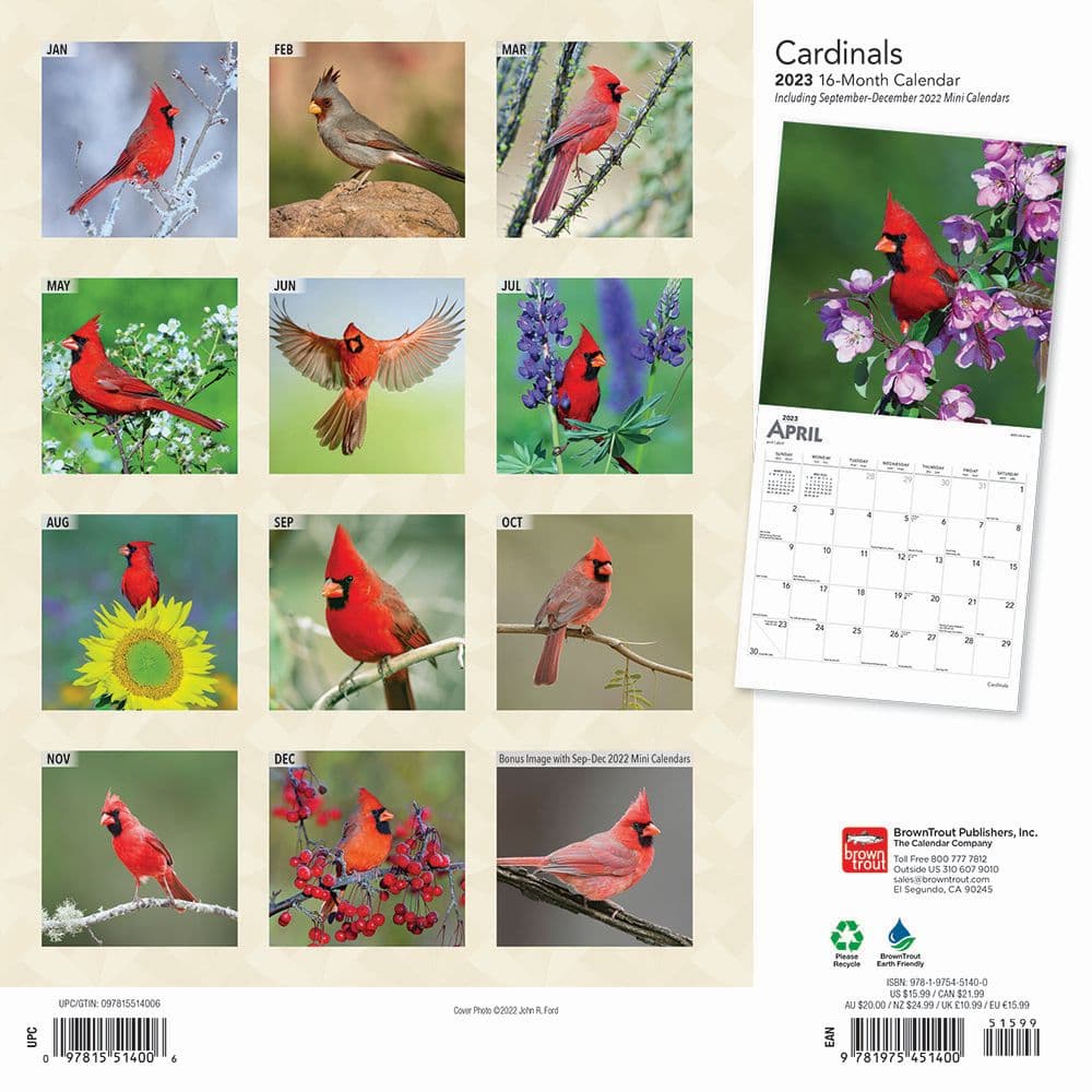 Arizona Cardinals 2023 Wall Calendar - 12 x 12 Inch