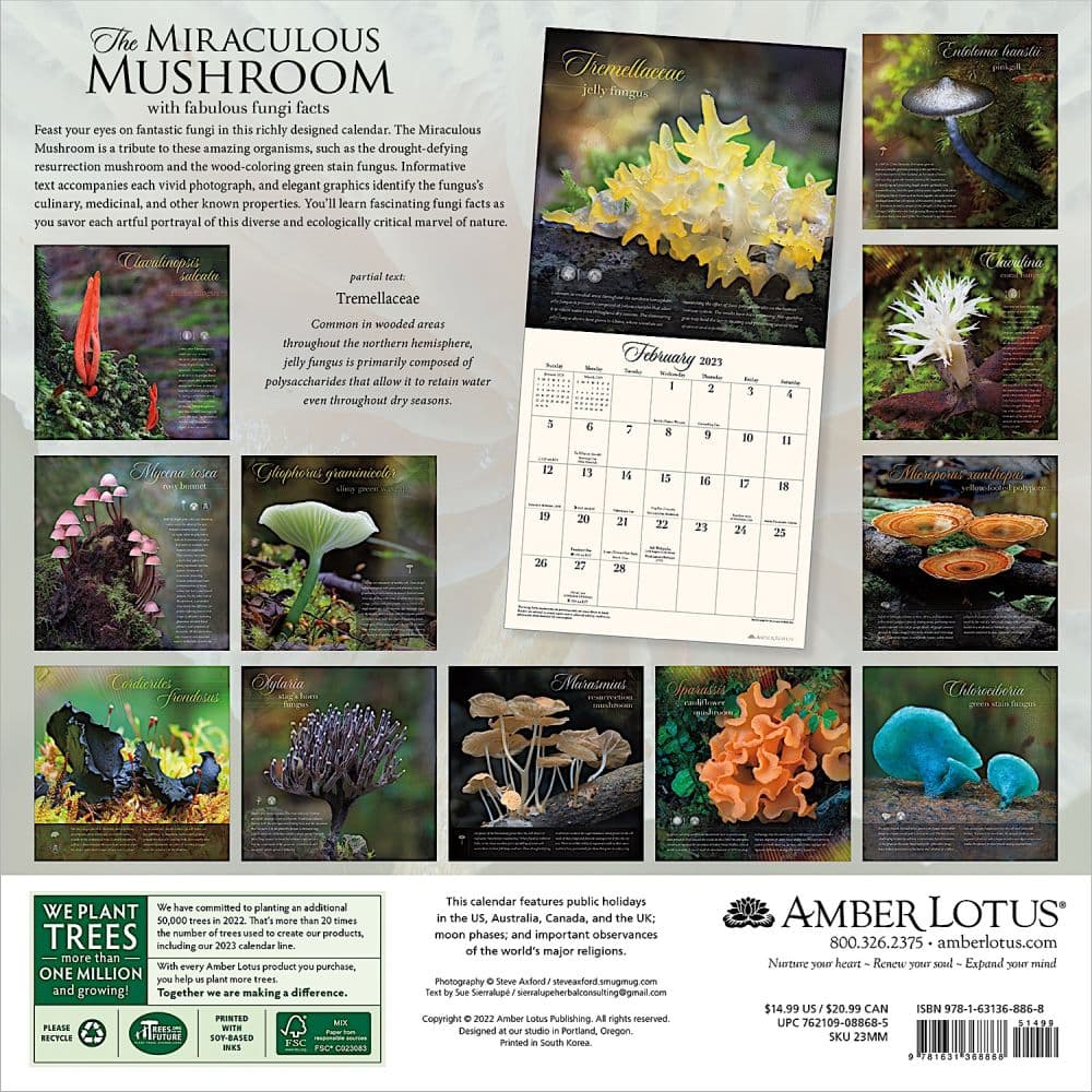 Miraculous Mushroom 2023 Wall Calendar
