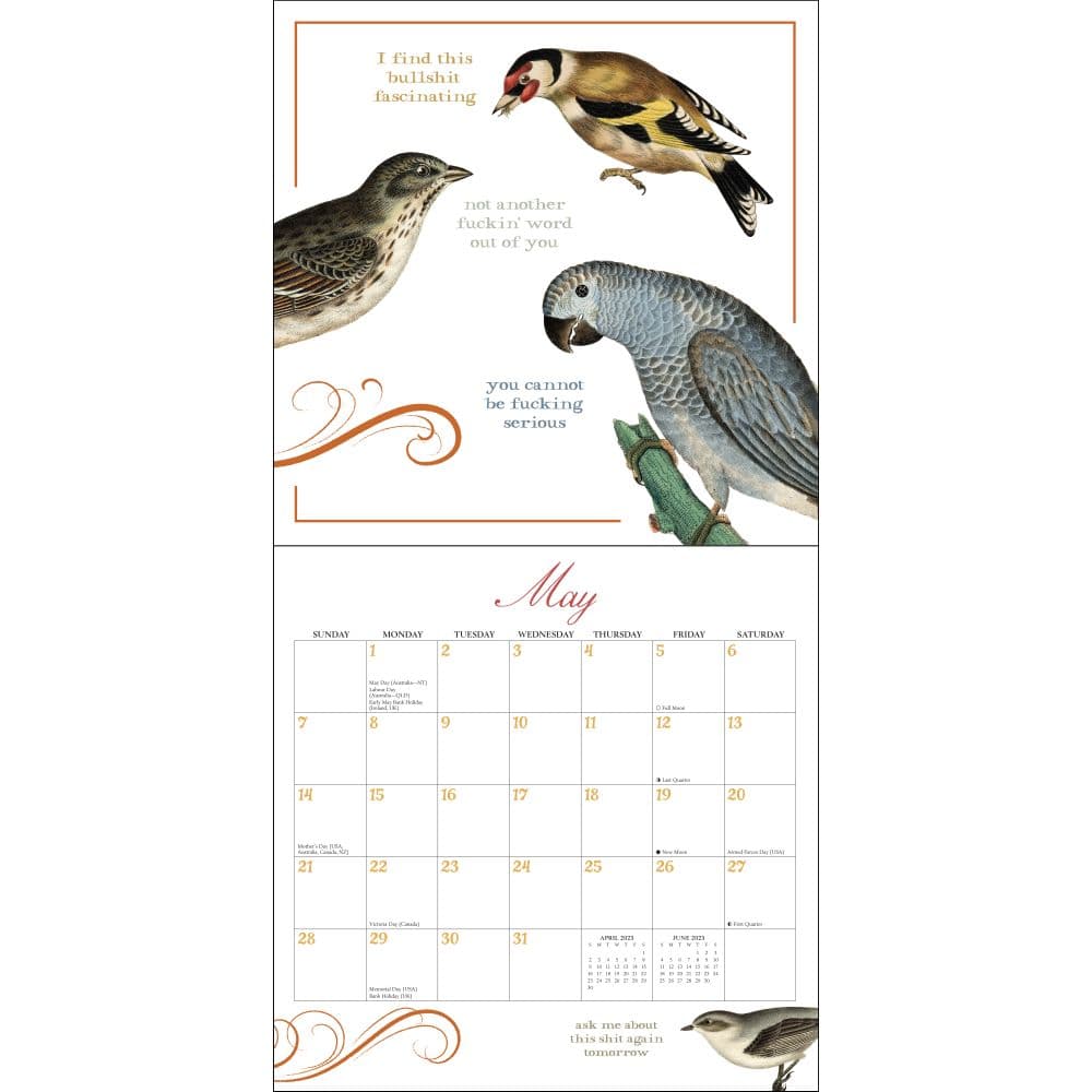effin-birds-2023-wall-calendar-calendars-com