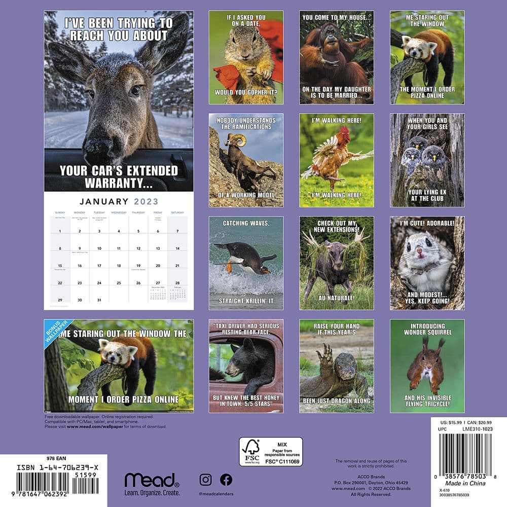 Animal-Memes-2023-Wall-Calendar Animal-Memes-2023-Wall-Calendar