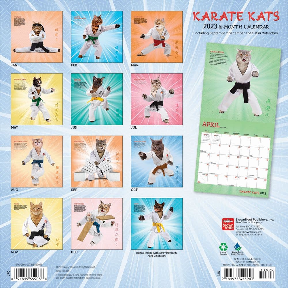 Karate Cats 2023 Wall Calendar