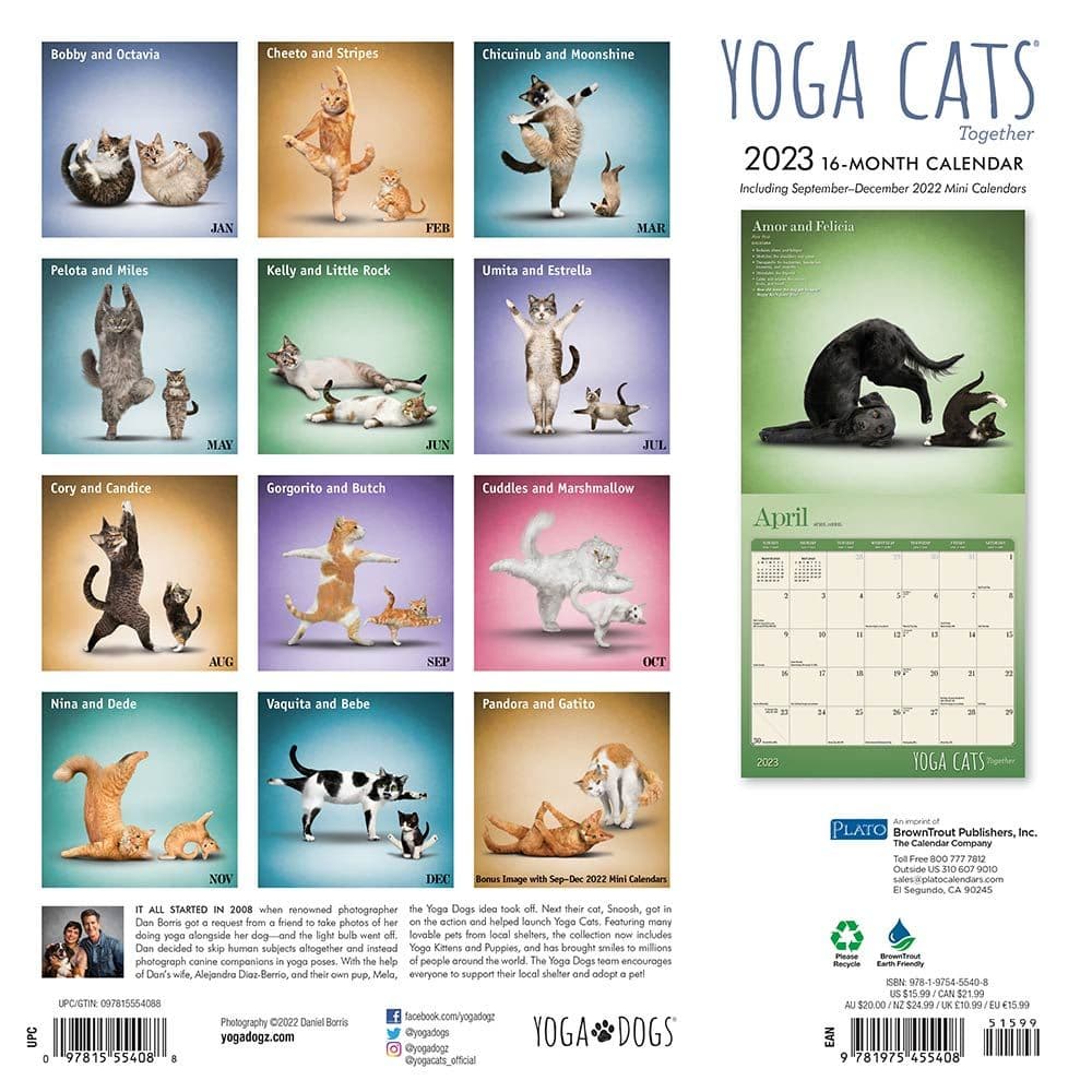 Yoga Cats Together Plato 2023 Wall Calendar - Calendars.com