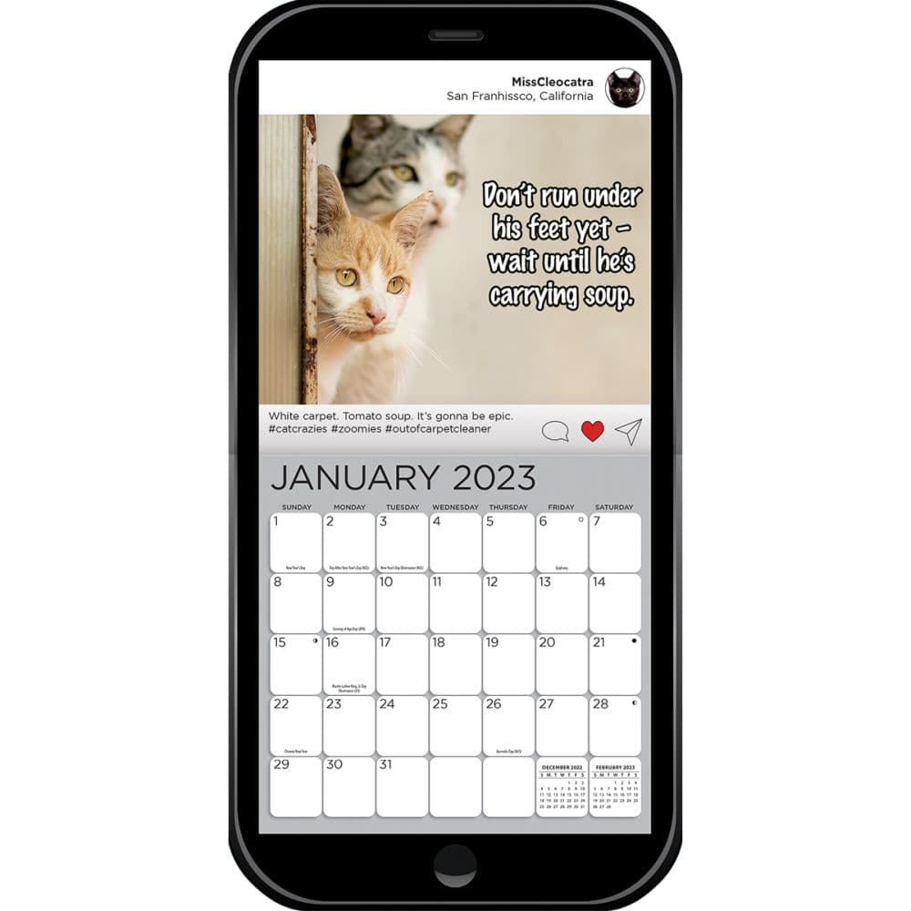 Cat chat 2023 mini wall calendar calendars