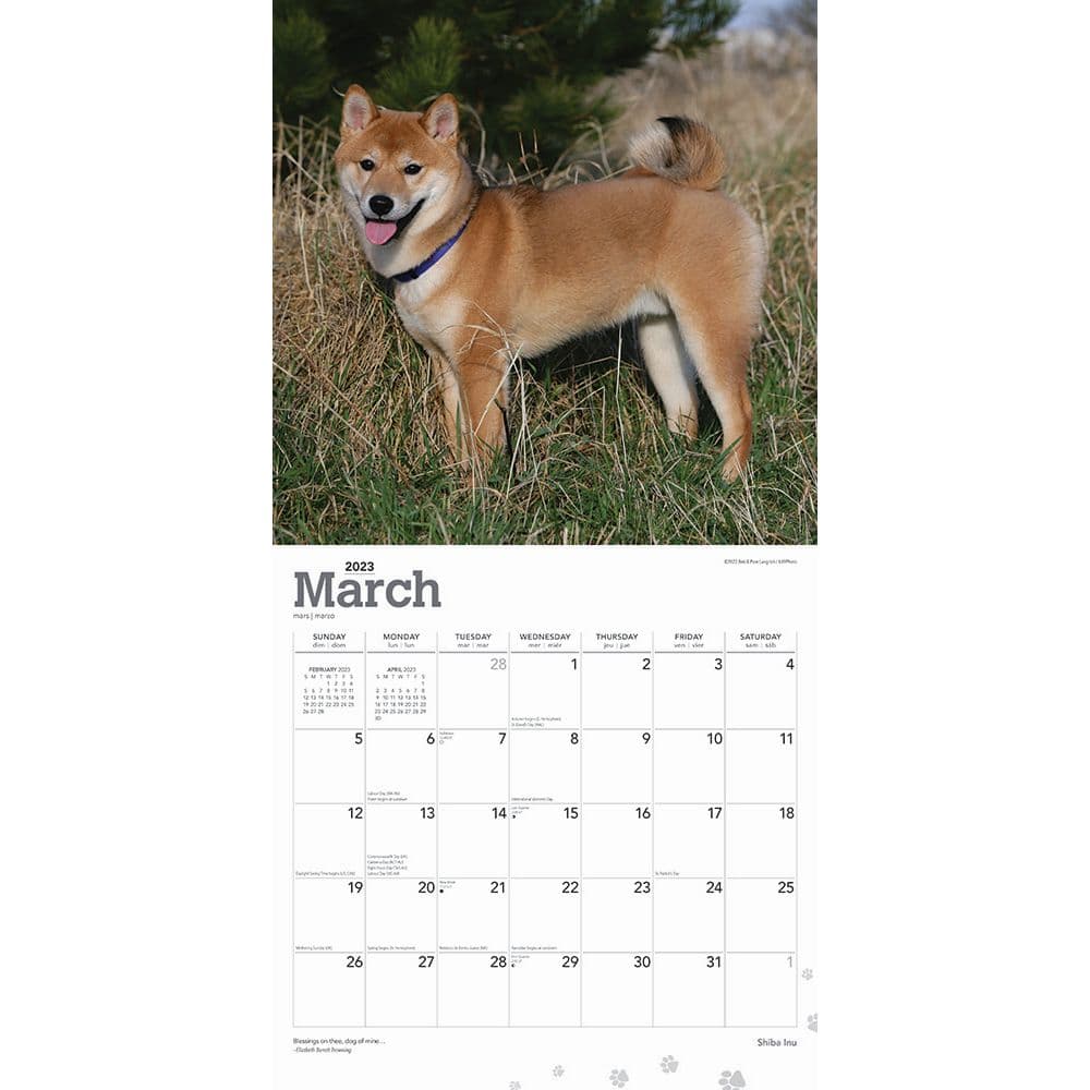 Shiba Inu 2023 Square Wall Calendar - Calendars.com shiba-inu-2023-square-wall-calendar-calendars-com