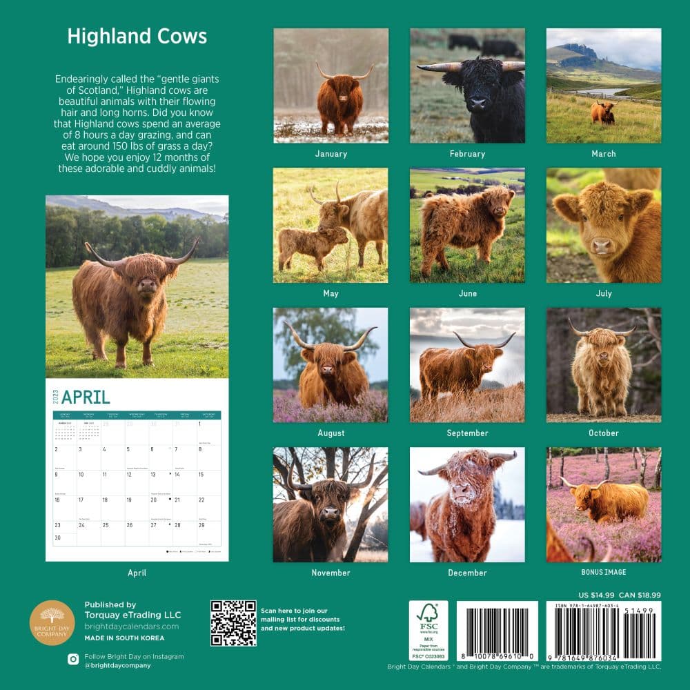 Highland-Cows-2023-Wall-Calendar - Calendars.com