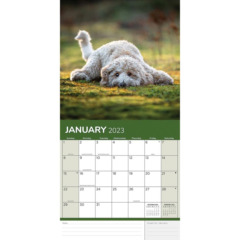 All Mixed Up! 12X12 2023 Photo Wall Calendar - Calendars.com