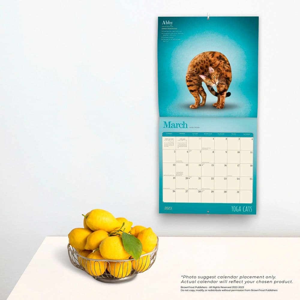 Yoga Cats 2023 Square Wall Calendar - Calendars.com