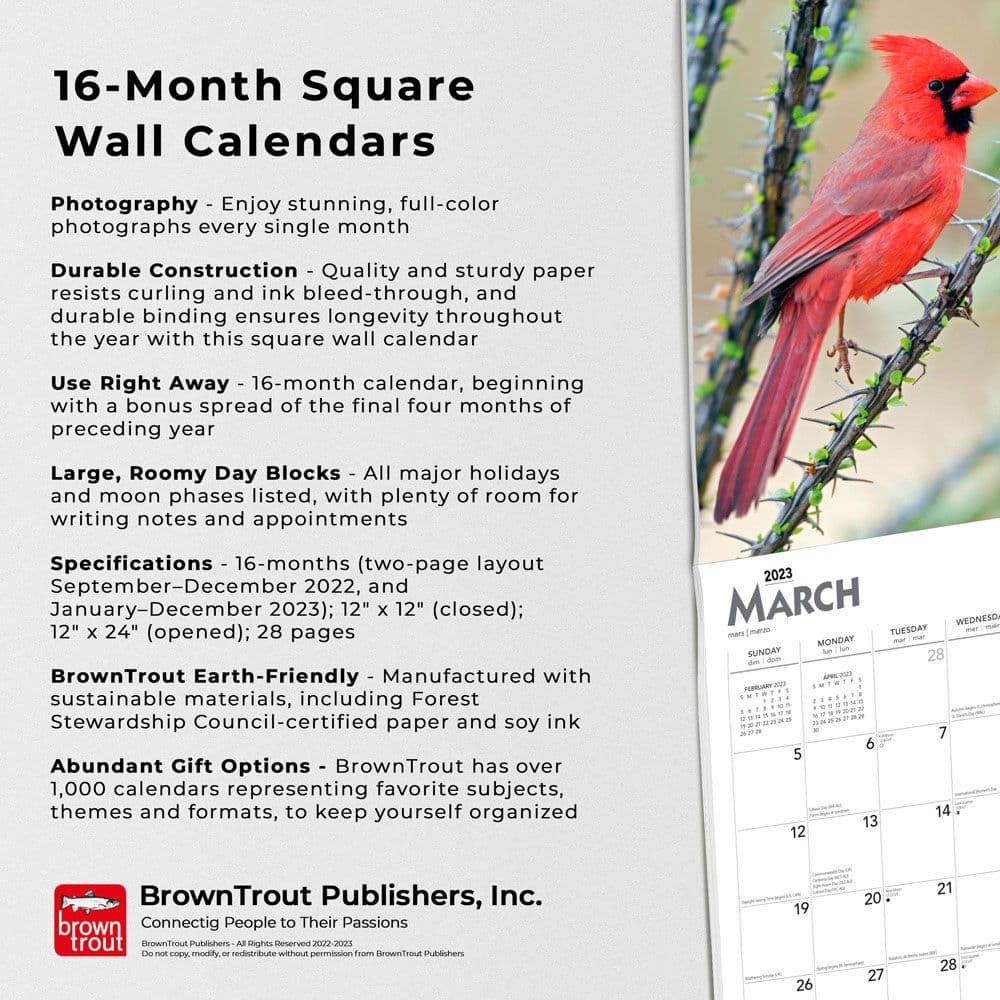 Arizona Cardinals 2023 Wall Calendar - 12 x 12 Inch