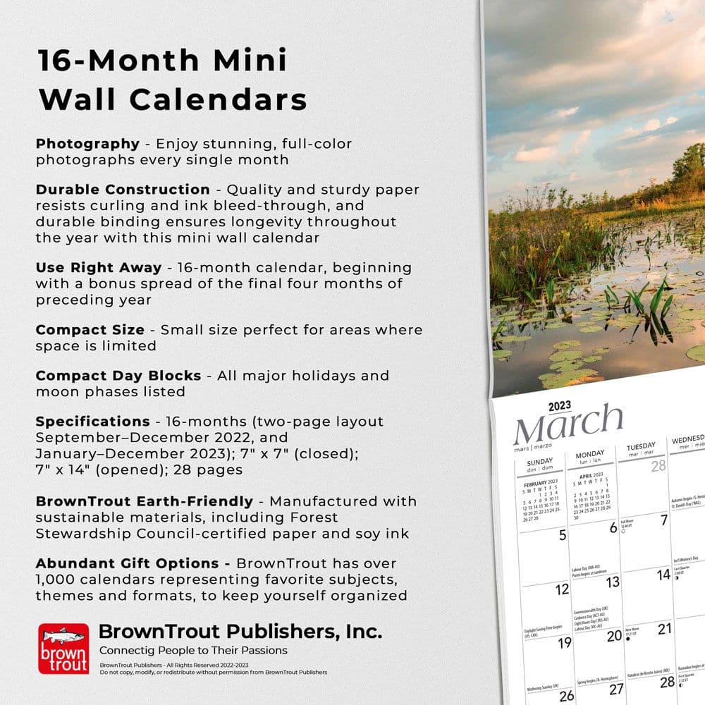 Detroit Lions 2023 16-Month Mini Wall Calendar