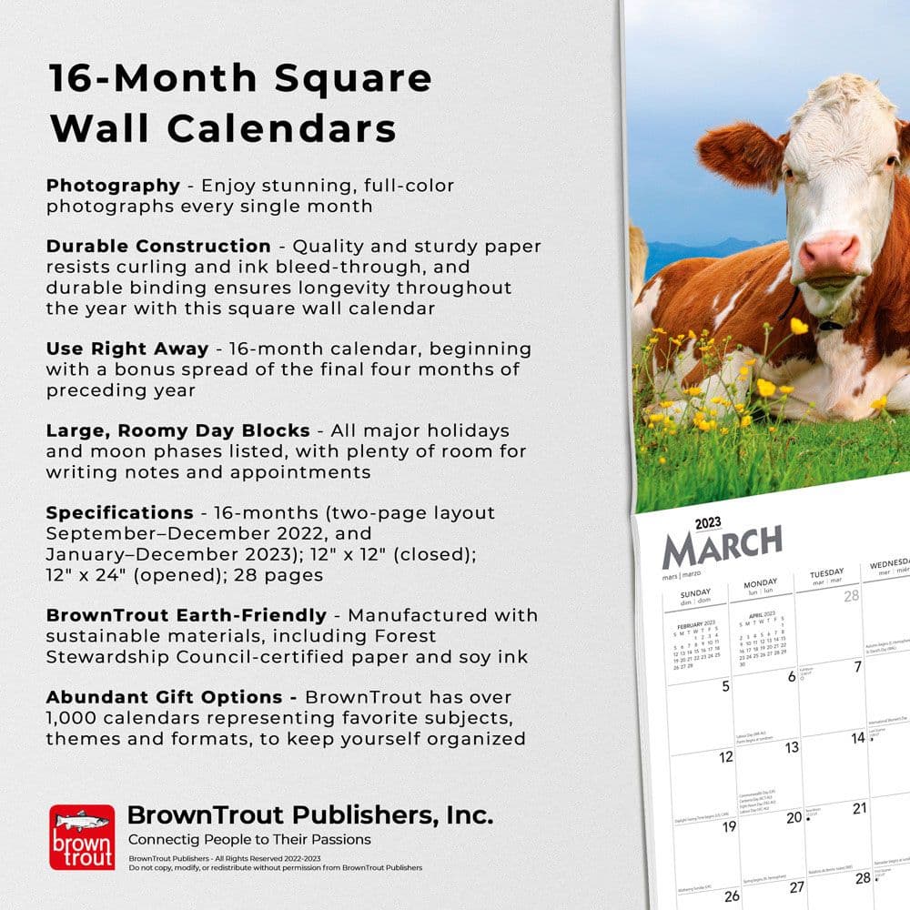 Cows 2023 Calendar - Calendars.com