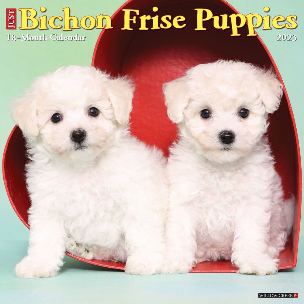 Bichon Frises Puppies 2023 Wall Calendar - Calendars.com