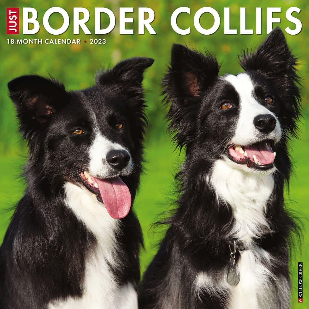 are border collies color blind