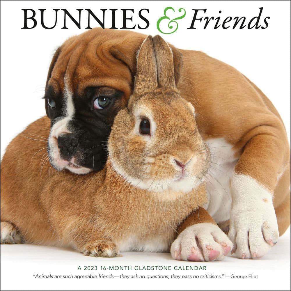 can dogs and bunnies be friends