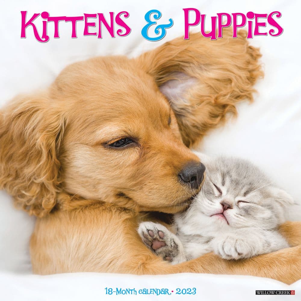 Kittens and Puppies Wall Calendar - Calendars.com