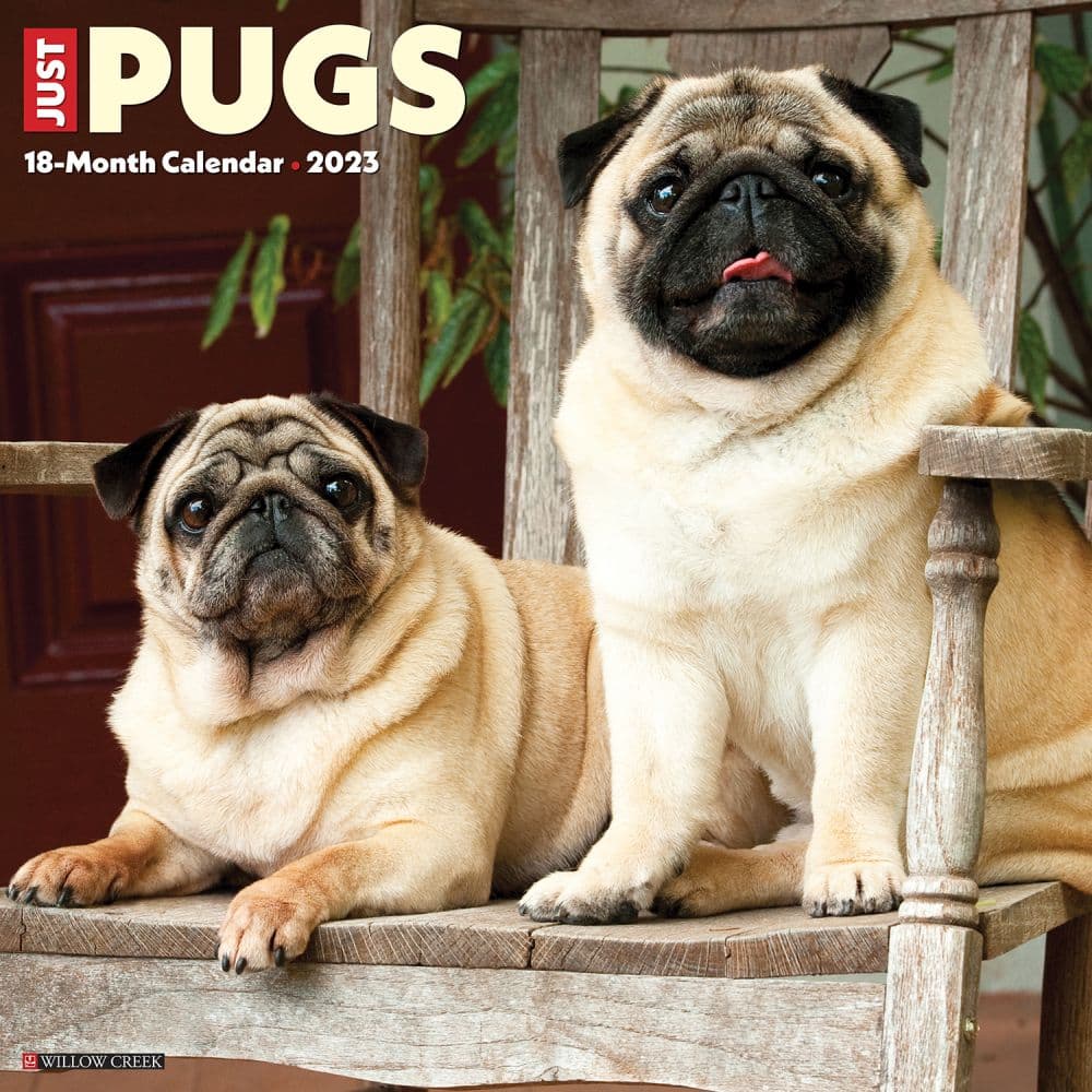 pug shop