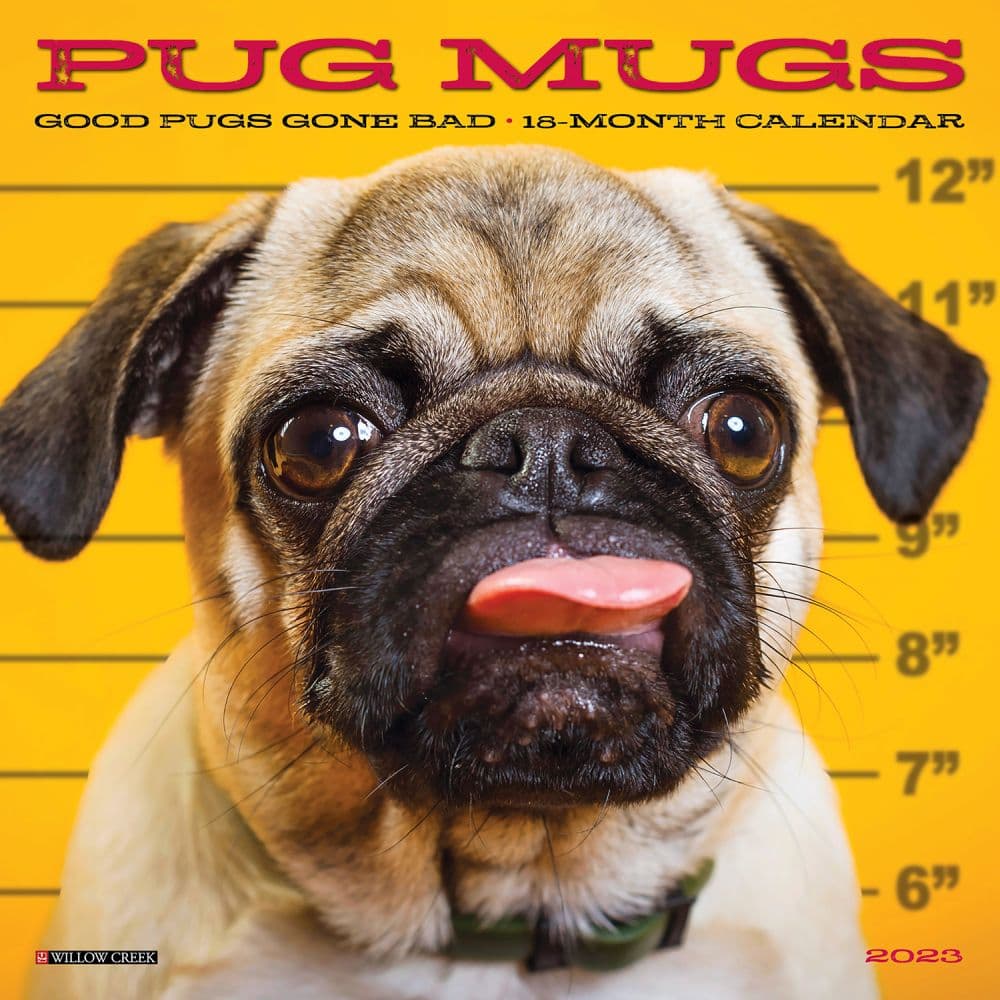Pug Mugs 2023 Mini Wall Calendar Calendars pug-mugs-2023-mini-wall-calendar-calendars