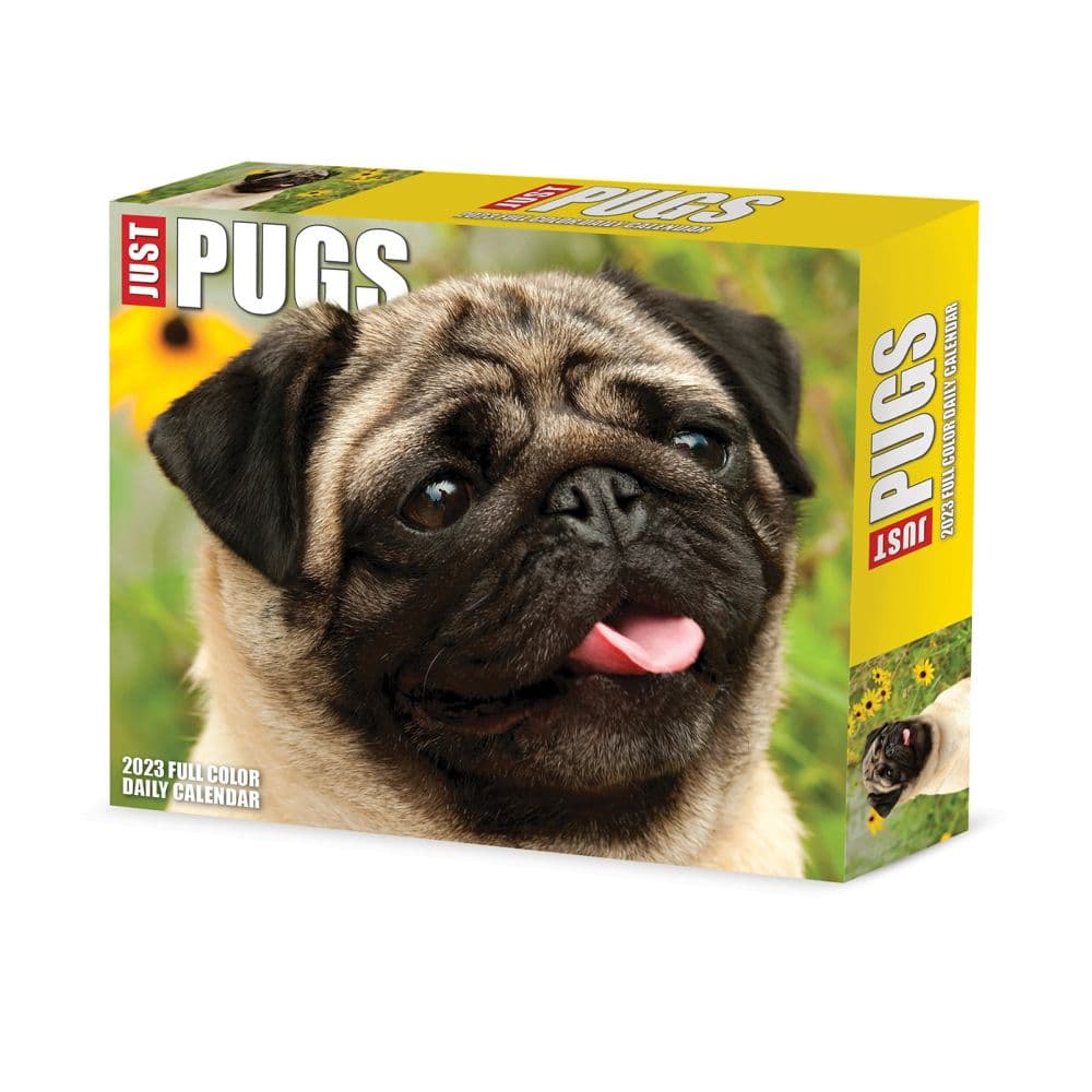 Just Pugs 2023 Desk Calendar - Calendars.com