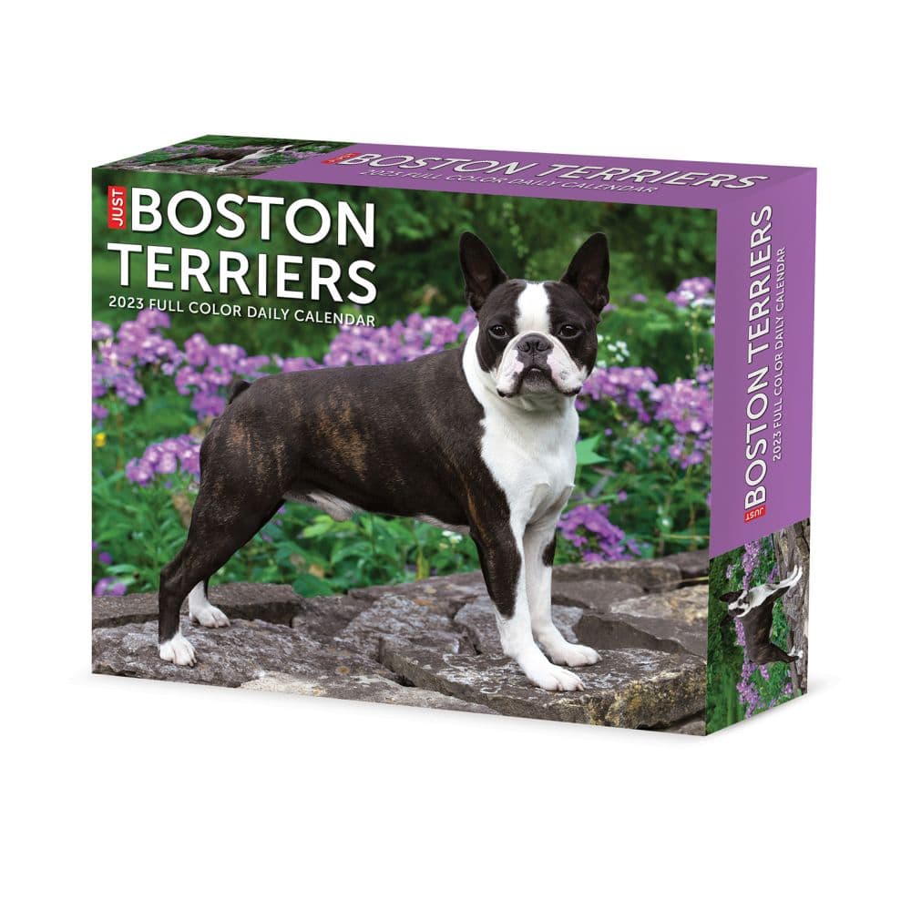 are boston terriers color blind