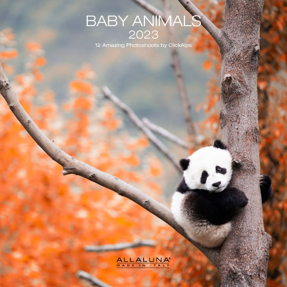 BABY ANIMALS 2023 12 x 12 WALL CALENDAR 