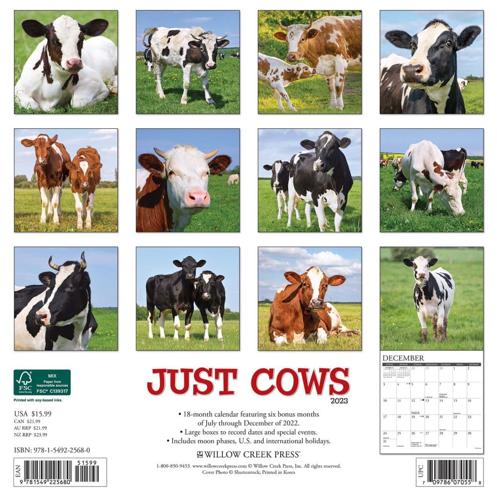 Cows 2023 Wall Calendar - Calendars.com