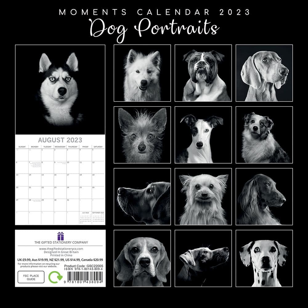 Dog Portraits 2023 Wall Calendar - Calendars.com