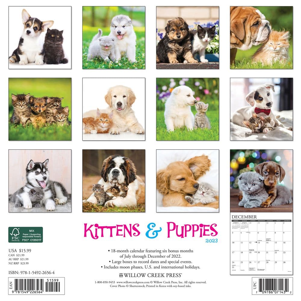 Kittens and Puppies Wall Calendar - Calendars.com