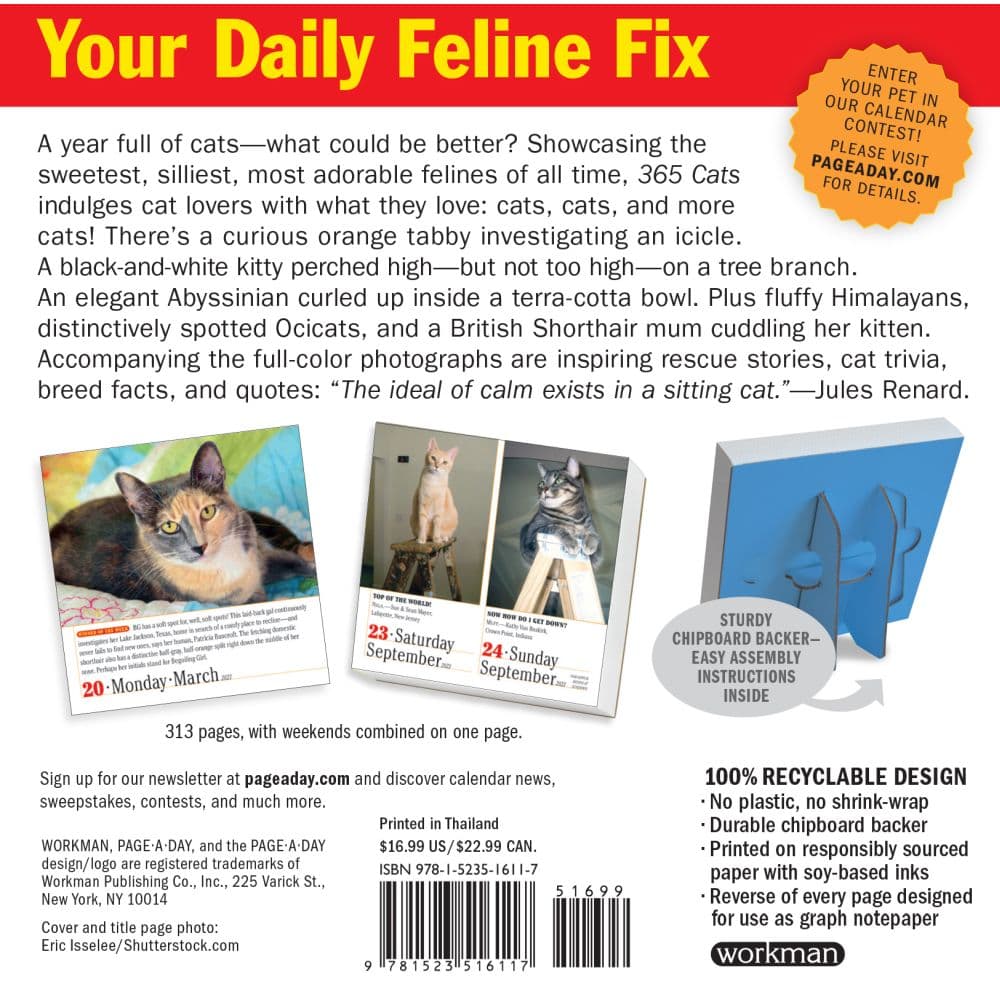 365-cats-2023-page-a-day-calendar-calendars-com