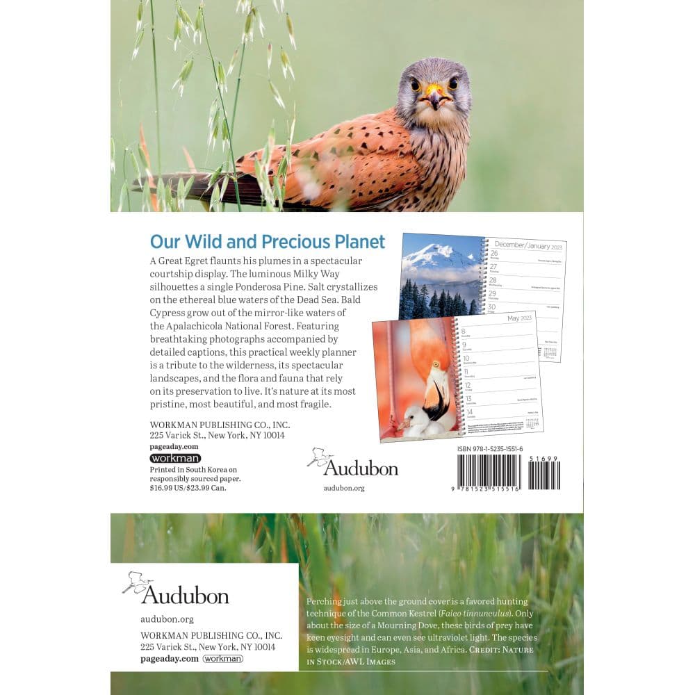Audubon 2023 Engagement Calendar Calendars audubon-2023-engagement-calendar-calendars