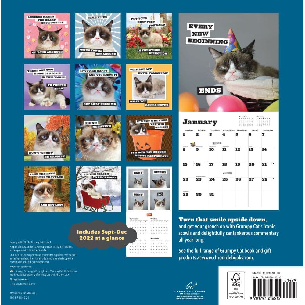 Grumpy Cat 2023 Wall Calendar - Calendars.com
