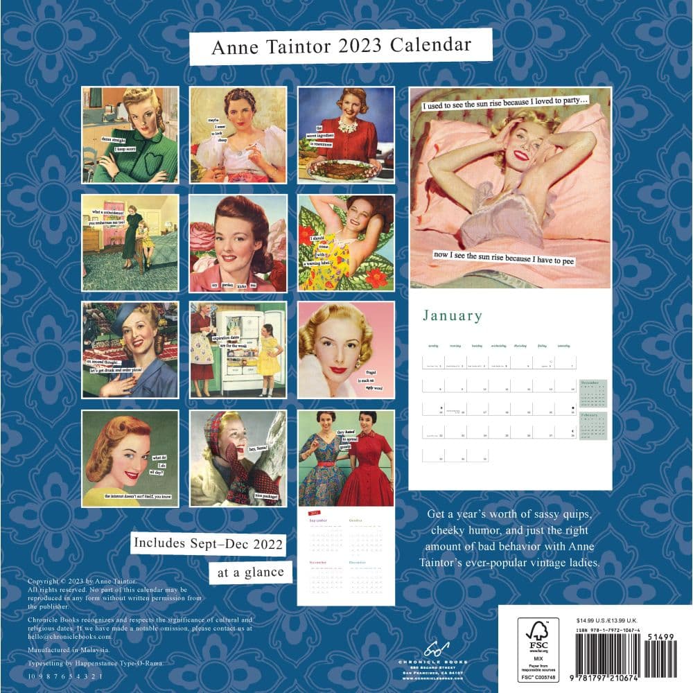 Anne Taintor 2023 Wall Calendar - Calendars.com